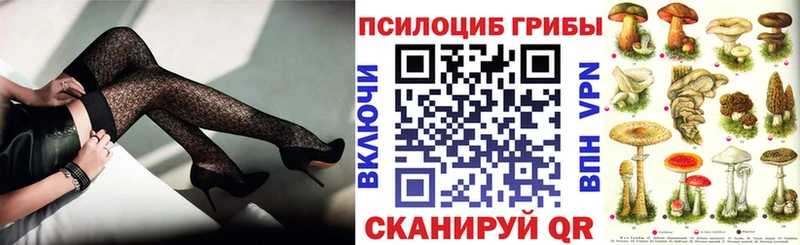 Галлюциногенные грибы Psilocybe  как найти закладки  ссылка на мегу tor  Кизилюрт 