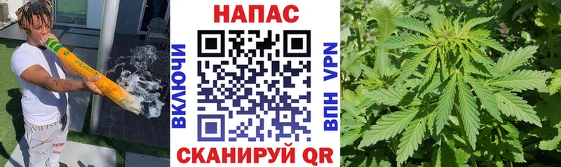 МАРИХУАНА MAZAR Кизилюрт